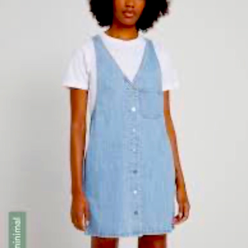 Frank and oak denim dress
